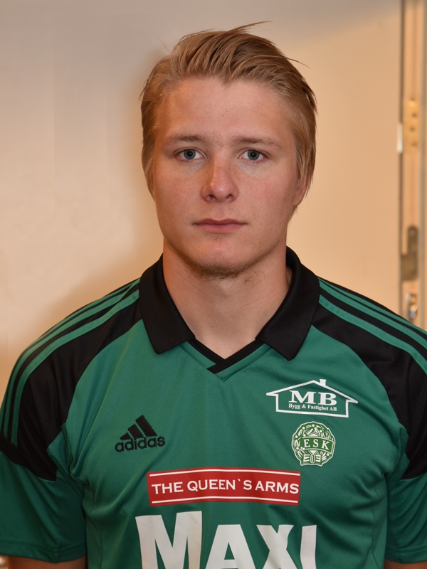 Bild på Robert Ahlström Porträtt