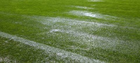 grasmatta_vattensjuk